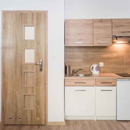 Zelazna Apartment Wawelofts كراكوفيا المظهر الخارجي الصورة